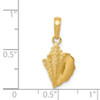 Lex & Lu 14k Yellow Gold Solid Polished Conch Shell Pendant - 4 - Lex & Lu