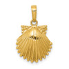 Lex & Lu 14k Yellow Gold Scallop Shell Pendant LAL74081 - Lex & Lu