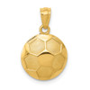 Lex & Lu 14k Yellow Gold Soccer Ball Pendant LAL74180 - Lex & Lu