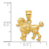 Lex & Lu 14k Yellow Gold Poodle Dog Charm - 4 - Lex & Lu