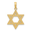 Lex & Lu 14k Yellow Gold Star of David Pendant LAL74333 - Lex & Lu