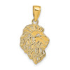 Lex & Lu 14k Yellow Gold Lion Head Pendant - Lex & Lu