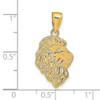 Lex & Lu 14k Yellow Gold Lion Head Pendant - 3 - Lex & Lu