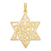 Lex & Lu 14k Yellow Gold Star Of David 12 Tribes Pendant - 4 - Lex & Lu