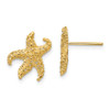 Lex & Lu 14k Yellow Gold Starfish Earrings LAL76061 - Lex & Lu