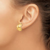 Lex & Lu 14k Yellow Gold Polished Fancy Omega Back Post Earrings LAL76794 - 3 - Lex & Lu