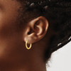 Lex & Lu 14k Yellow Gold Polished Round Endless 2mm Hoop Earrings LAL76906 - 3 - Lex & Lu
