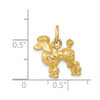 Lex & Lu 14k Yellow Gold Solid 3-DiMen'sional Poodle Charm - 4 - Lex & Lu