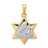 Lex & Lu 14k Two-tone Gold Star of David Pendant LAL77016 - Lex & Lu