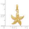 Lex & Lu 14k Yellow Gold Starfish Pendant LAL77366 - 4 - Lex & Lu