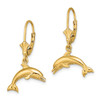 Lex & Lu 14k Yellow Gold Jumping Dolphin Leverback Earrings - 2 - Lex & Lu