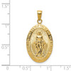 Lex & Lu 14k Yellow Gold Satin and Polished Finish Miraculous Medal Pendant - 4 - Lex & Lu