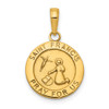 Lex & Lu 14k Yellow Gold Satin and Polished Finish Saint Francis Medal Pendant - Lex & Lu