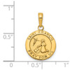 Lex & Lu 14k Yellow Gold Satin and Polished Finish Saint Francis Medal Pendant - 4 - Lex & Lu
