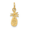 Lex & Lu 14k Yellow Gold Polished Pineapple Charm - 3 - Lex & Lu