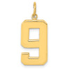 Lex & Lu 14k Yellow Gold Casted Large Polished Number 9 Charm - Lex & Lu