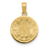 Lex & Lu 14k Yellow Gold Miraculous Medal Pendant LAL79100 - 4 - Lex & Lu