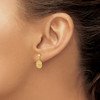 Lex & Lu 14k Yellow Gold Polished Raphael Angel Earrings - 3 - Lex & Lu