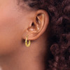 Lex & Lu 14k Yellow Gold Dolphin Hoop Earrings - 3 - Lex & Lu