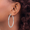 Lex & Lu 14k White Gold 3mm Round Hoop Earrings LAL81484 - 3 - Lex & Lu