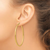 Lex & Lu 14k Yellow Gold Polished 2.5mm Lightweight Round Hoop Earrings LAL81556 - 3 - Lex & Lu