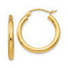 Lex & Lu 14k Yellow Gold Polished 2.5mm Lightweight Round Hoop Earrings LAL81562 - Lex & Lu