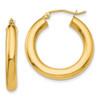 Lex & Lu 14k Yellow Gold Polished 4mm x 25mm Tube Hoop Earrings - Lex & Lu