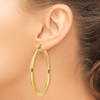 Lex & Lu 14k Yellow Gold Polished 4mm x 55mm Tube Hoop Earrings - 3 - Lex & Lu