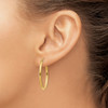 Lex & Lu 14k Yellow Gold Oval Polished Hoop Earrings LAL81635 - 3 - Lex & Lu