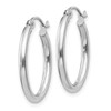 Lex & Lu 14k White Gold Polished 2mm Oval Tube Hoop Earrings LAL81640 - 2 - Lex & Lu