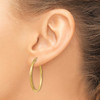 Lex & Lu 14k Yellow Gold Satin & D/C 2mm Round Tube Hoop Earrings LAL81671 - 3 - Lex & Lu
