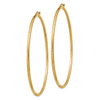 Lex & Lu 14k Yellow Gold Satin & D/C 2mm Round Tube Hoop Earrings LAL81681 - 2 - Lex & Lu