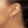 Lex & Lu 14k White Gold Satin & D/C 3mm Round Hoop Earrings LAL81735 - 3 - Lex & Lu