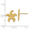 Lex & Lu 14k Yellow Gold Starfish Post Earrings LAL81799 - 4 - Lex & Lu