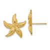 Lex & Lu 14k Yellow Gold Starfish Post Earrings LAL81800 - Lex & Lu