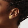 Lex & Lu 14k Yellow Gold Starfish Post Earrings LAL81800 - 3 - Lex & Lu