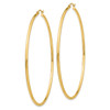 Lex & Lu 14k Yellow Gold Light Weight Hoop Earrings LAL82059 - 2 - Lex & Lu