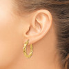 Lex & Lu 14k Yellow Gold Light Twisted Hoop Earrings LAL82070 - 3 - Lex & Lu