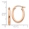 Lex & Lu 14k Rose Gold Oval Hoop Earrings LAL82075 - 4 - Lex & Lu