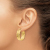 Lex & Lu 14k Yellow Gold D/C Oval Hoop Earrings - 3 - Lex & Lu