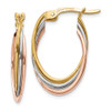 Lex & Lu 14k Tri-color Gold Polished Oval Hoop Earrings - Lex & Lu