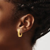 Lex & Lu 14k Yellow Gold Polished Hinged Post Earrings - 3 - Lex & Lu
