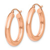 Lex & Lu 14k Rose Gold Polished Tube Hoop Earrings LAL82303 - 2 - Lex & Lu