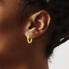 Lex & Lu 14k Yellow Gold Polished Hollow Hoop Earrings LAL82875 - 3 - Lex & Lu