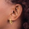 Lex & Lu 14k Yellow Gold Double Hoop Earrings - 3 - Lex & Lu