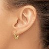 Lex & Lu 14k Yellow Gold & Rhodium Hoop Earrings LAL82928 - 3 - Lex & Lu