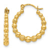 Lex & Lu 14k Yellow Gold Beaded Hoop Earrings - Lex & Lu