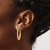 Lex & Lu 14k Yellow Gold Satin D/C Hollow Hoop Earrings - 3 - Lex & Lu