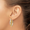 Lex & Lu 14k Two-tone Gold Polished Double Hoop Earrings LAL83077 - 3 - Lex & Lu