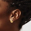 Lex & Lu 14k Yellow Gold Hinged Hoop Earrings LAL83103 - 3 - Lex & Lu
